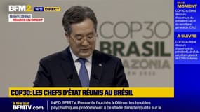 COP30: la Chine appelle à lever les "barrières douanières" sur les "produits verts"