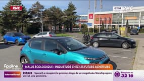Malus écologique: inquiétude chez les futurs acheteurs 