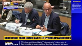 "Ce qu'on attend des parlementaires français c'est de se mobiliser", estime le président de la FNSEA à propos du Mercosur