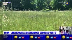 Lyon: une nouvelle gestion des espaces verts