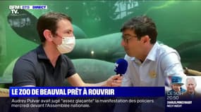 Le zoo de Beauval rouvre mardi après 7 mois de fermeture