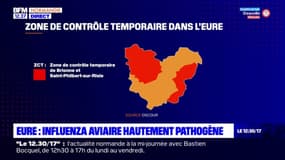 Grippe aviaire: 208 communes de l'Eure concernées par une surveillance renforcée