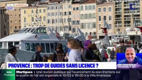 Marseille: de plus en plus de guide sans licence dans les rues
