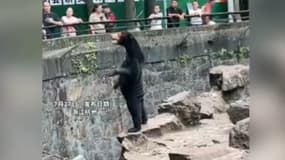 Ours ou humain déguisé? Un zoo chinois forcé de démentir