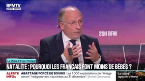 LE CHOIX D'YVES - Pourquoi les Français font moins de bébés?