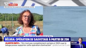 Le coût de l'opération de sauvetage du béluga dans la Seine estimé à "quelques milliers d'euros" par la préfecture