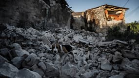 Un séisme de magnitude 5,4 sur l'échelle de Richter a provoqué de nombreux dégâts en particulier au Teil, en Ardèche, le 11 novembre 2019