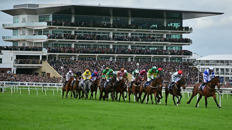 Une course sur l'hippodrome de Cheltenham (Angleterre), le 15/03/2024 - image d'illustration
