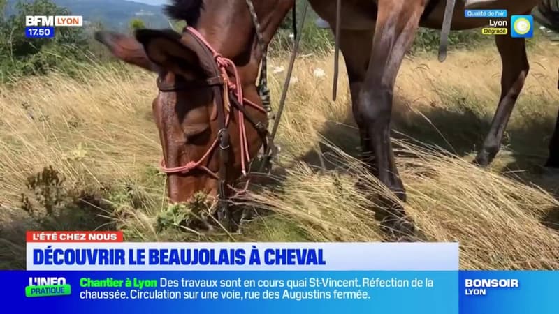 L'été chez nous: à la découverte du Beaujolais, à cheval