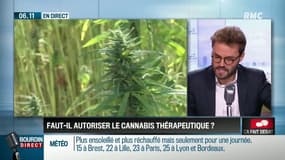 Faut-il autoriser la vente de cannabis thérapeutique? Ca fait débat sur RMC