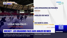 Hockey: les Dragons face aux Aigles de Nice