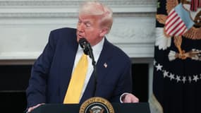 Donald Trump à la Maison Blanche à Washington le 21 février 2025.