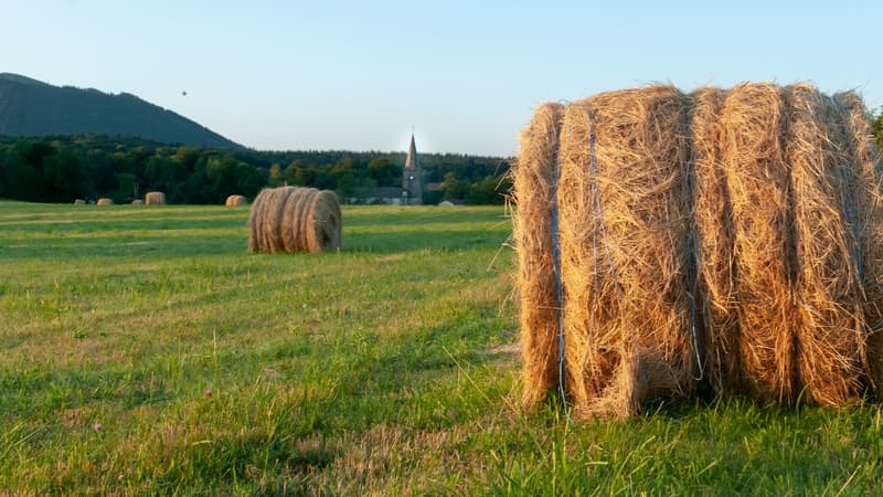 En termes de surfaces agricoles, la France est au premier rang européen avec près de 30 millions d'hectares.