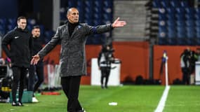 Michel Der Zakarian lors de Montpellier-Nice (0-0, 12e journée de L1), le 10 novembre 2023