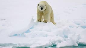 Classée parmi les dix années les plus chaudes, 2012 a atteint un record en terme de fonte des glaces dans l'Arctique.