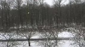Essonne : neige à Ollainville - Témoins BFMTV