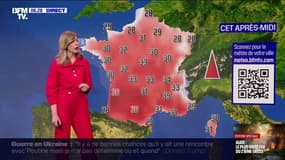 Quelques nuages dans le Nord mais du soleil sur le reste de la France, avec des températures comprises entre 23°C et 36°C... La météo de ce jeudi 7 août