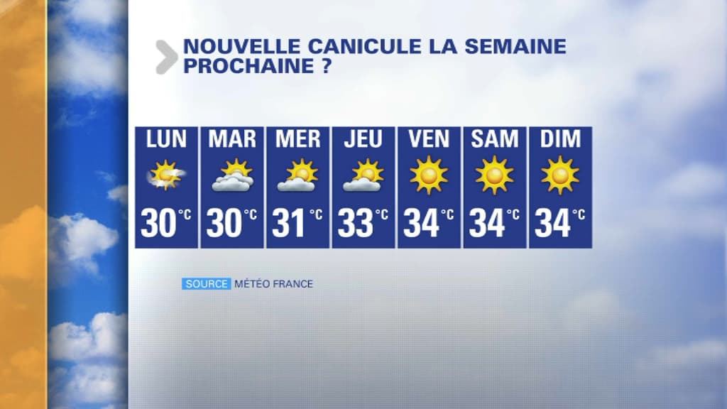 canicule canicule
