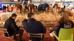 Les animaux installés, le Salon de l'agriculture n'attend désormais plus que les visiteurs.