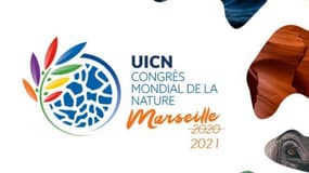 Du 3 au 11 septembre 2021, BFM Business et BFM Marseille Provence proposent un dispositif spécial en partenariat avec le ministère de la Transition écologique à l’occasion du Congrès mondial de la nature à Marseille