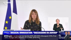Nouvelle loi immigration: "On prendra le temps de discuter", assure la porte-parole du gouvernement Maud Bregeon