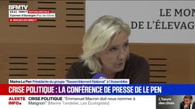 Crise politique: Marine Le Pen déplore un "piteux spectacle des jeux partisans"