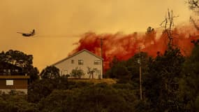Quelque 30 incendies dévorent actuellement au moins 48.500 hectares en Californie, dont certains près de Los Angeles et San Francisco.