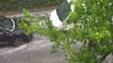 Pluie de grêlons à Valenton (Val-de-Marne) - Témoins BFMTV