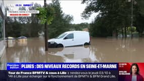 Pluies en Seine-et-Marne: le pic de crue est atteint 