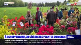 Parc de Schoppenwihr: 40e édition de la fête internationale des plantes de printemps