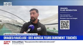 Les agriculteurs déplorent d'importants dégâts lié à l'épisode orageux dans le sud*est