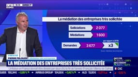 Le médiateur des entreprises (Pierre Pelouzet) alerte: crise = défiance