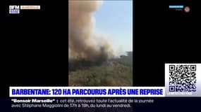 Incendie de la Montagnette: 120 hectares parcourus après une reprise à Barbentane