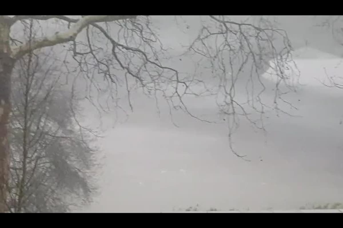 placeholder video