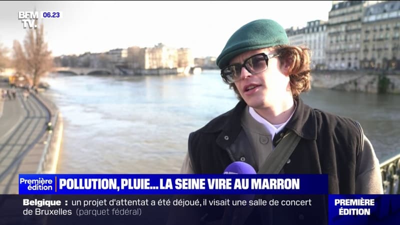 Paris: quand la Seine vire au marron
