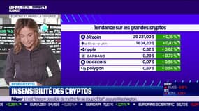 BFM Crypto: Insensibilité des cryptos - 08/08