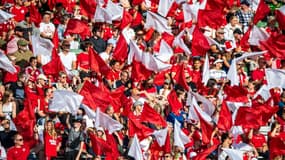 Supporters danois