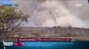 Incendie dans le Gard: "Encore beaucoup de travail et de points chauds" assure le porte-parole des pompiers