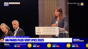 Paris: un nouveau plan d'urbanisme pour une ville plus verte et solidaire