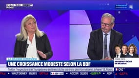 Jean-René Cazeneuve (Assemblée nationale) : Une croissance modeste selon la BDF - 20/06