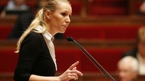 Marion Maréchal Le Pen à l'Assemblée nationale à Paris, le 19 novembre 2015