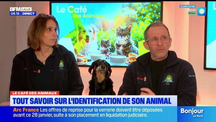 Le Café des Animaux: quelques conseils pour bien identifier son animal