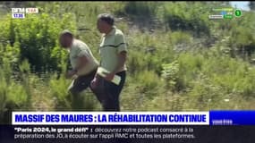 Massif des Maures: la réhabilitation continue dans le Var