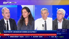 Les Experts : Électricité, un marché comme les autres ? - 15/11