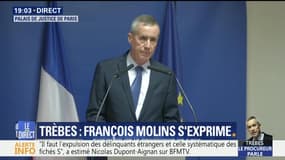Attentats dans l'Aude: François Molins s'exprime