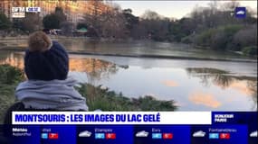 Parc Montsouris: les images du lac gelé
