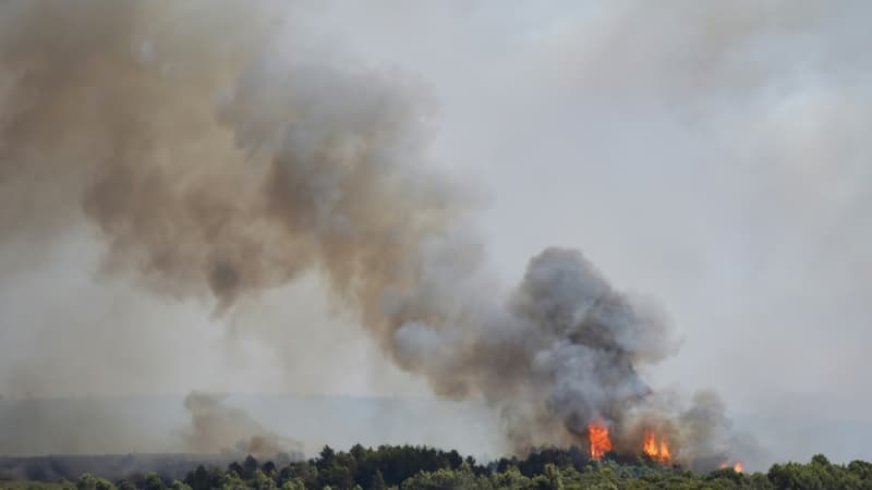 EN DIRECT - Incendie dans l'Hérault: 1000 hectares de végétation brûlés, 300 personnes évacuées