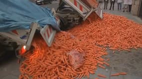 Les buralistes ont déversé 4 tonnes de carottes devant le siège du PS à Paris.