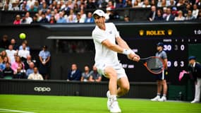 A. Murray