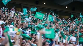 Les supporteurs de l'Arabie saoudite lors de la dernière Coupe du monde au Qatar